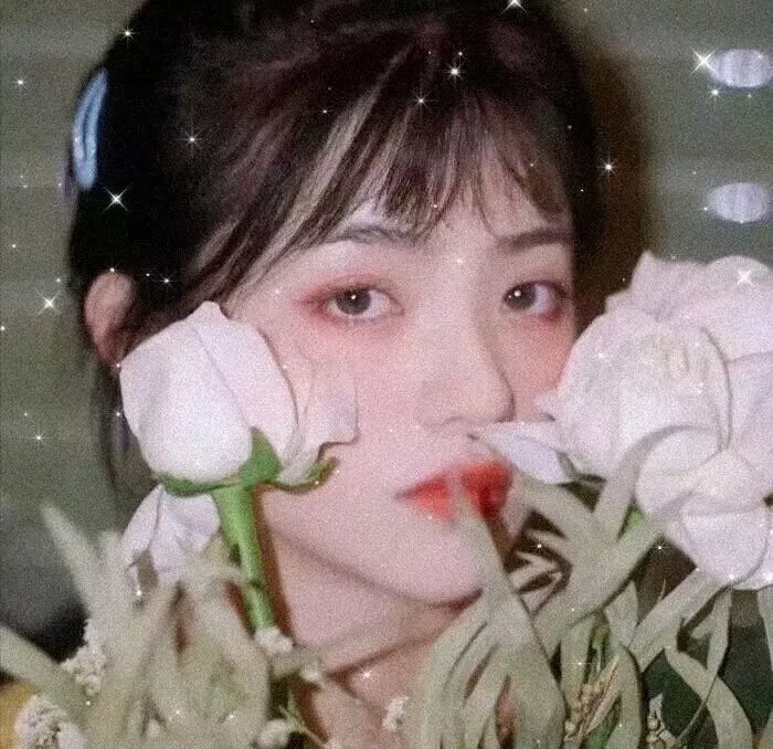阿丽拉
